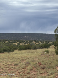 TBD N8485, Concho, Arizona 85924, ,Land,For Sale,N8485,258391
