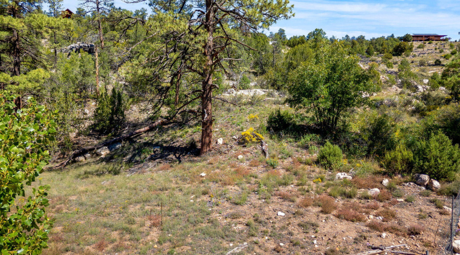 1740EskimoLn-HeberOvergaard-AZ-13