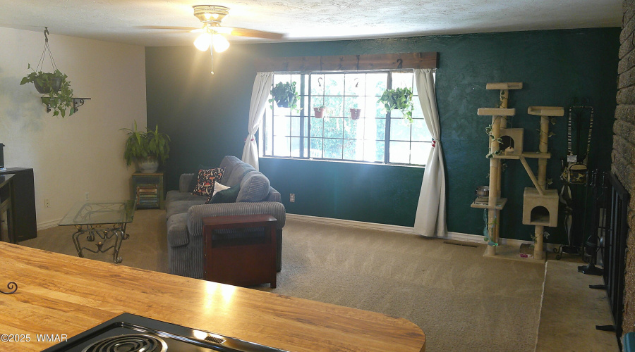 Living Room from Kitchen