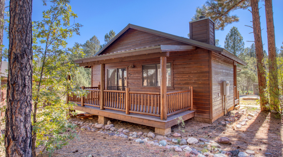 Paxmanphoto_PAX_7994