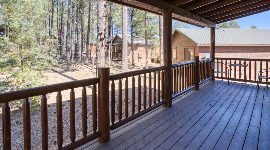 Paxmanphoto_PAX_7988