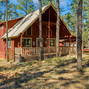 2890WildcatTrail-HeberOvergaardAZ-2