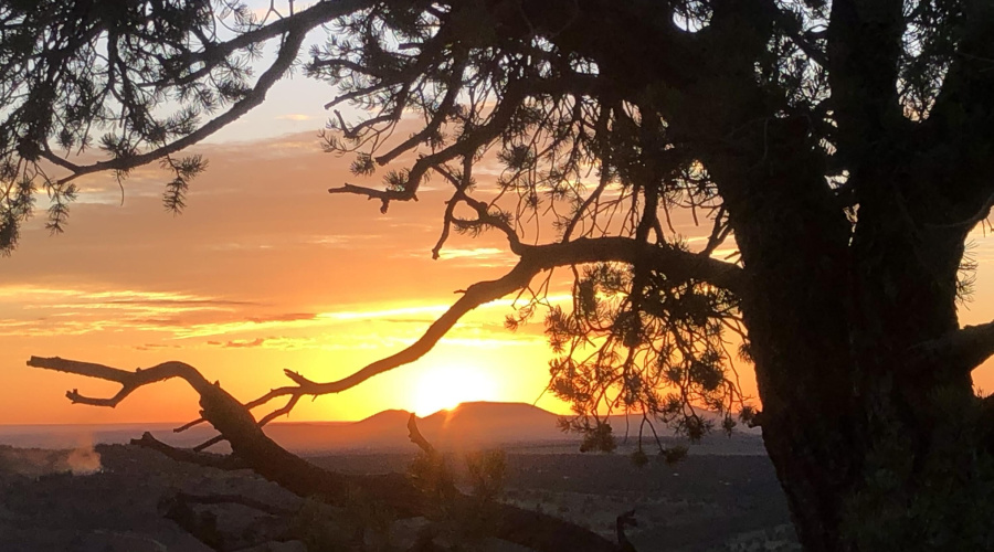 Owners library of stunning photos