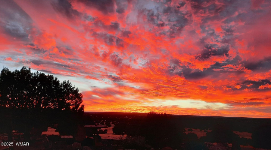 Owners library of stunning photos