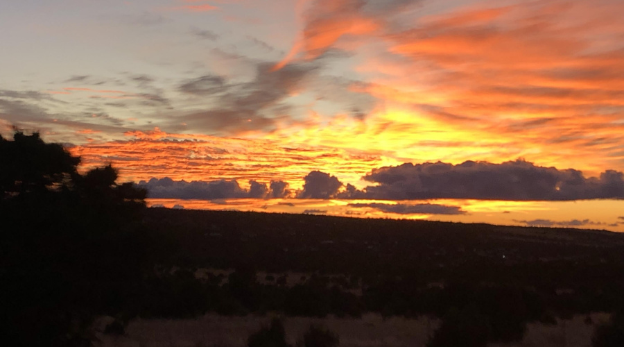 Owners library of stunning photos