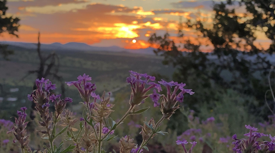 Owners library of stunning photos