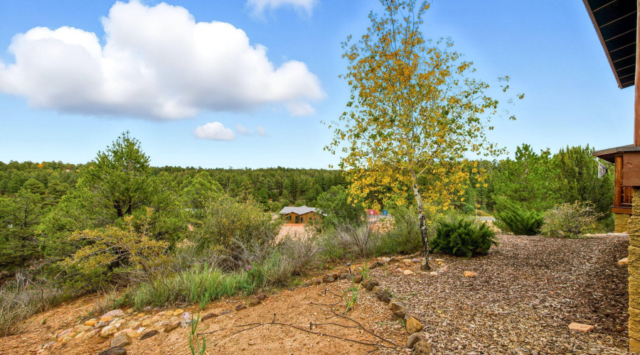 1921NBisonTrail-ShowLow-AZ-22