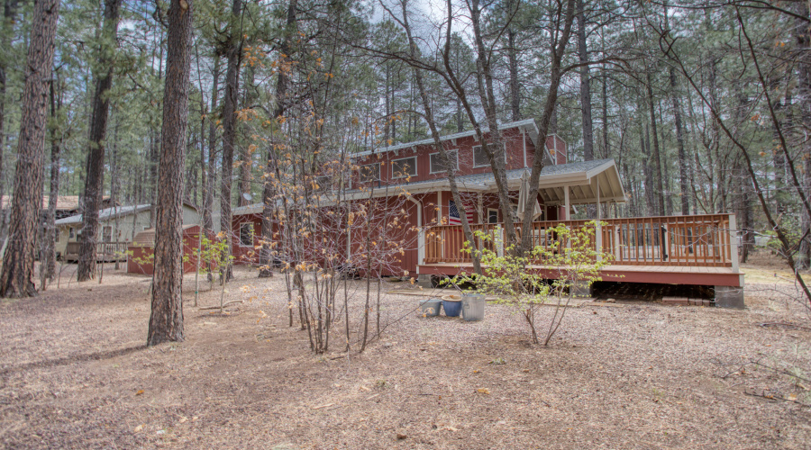 Paxmanphoto_PAX_8602