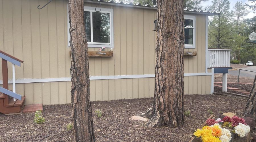 2800 S White Mountain Rd 108 Side With W