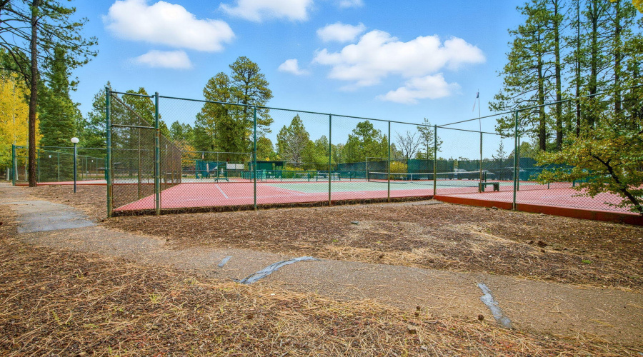 4563ResortLoop#7-PinetopAZ-26