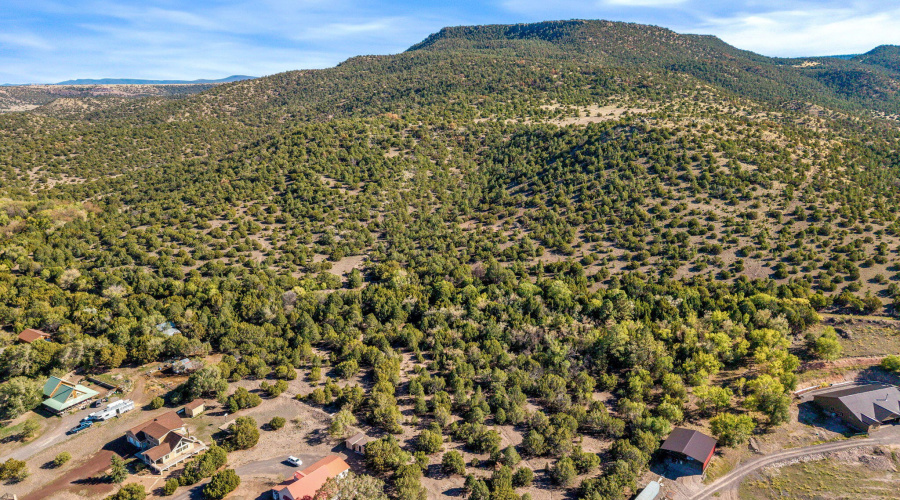 Parcel10423002GFEC-EagarAZ-10