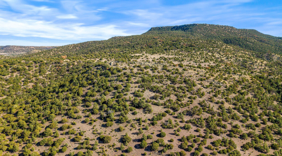 Parcel10423002GFEC-EagarAZ-12