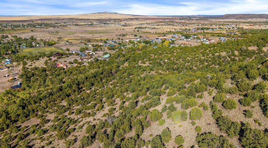 Parcel10423002GFEC-EagarAZ-13