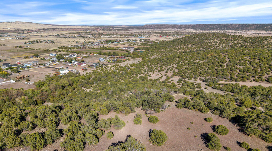 Parcel10423002GFEC-EagarAZ-15