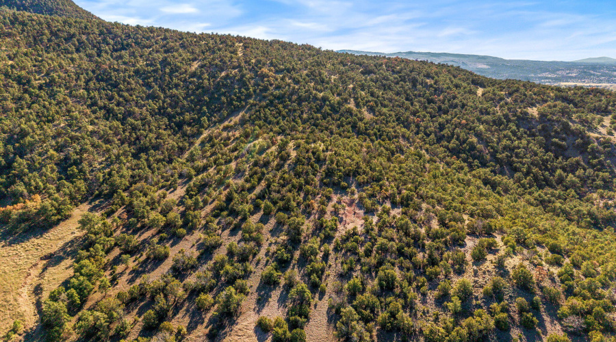 Parcel10423002GFEC-EagarAZ-4