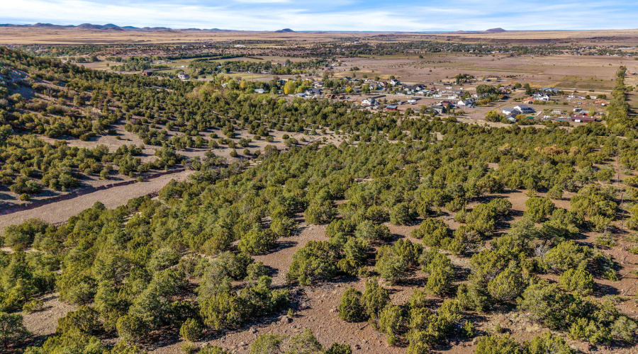 Parcel10423002GFEC-EagarAZ-5