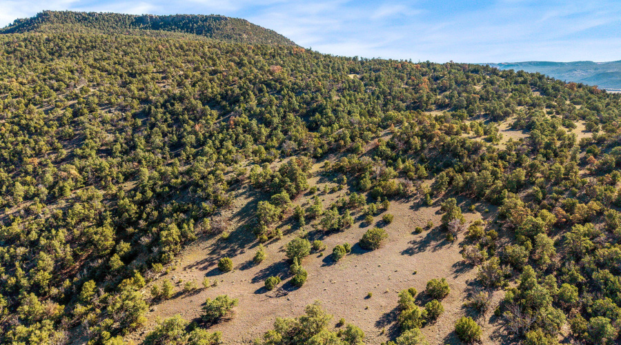 Parcel10423002GFEC-EagarAZ-6