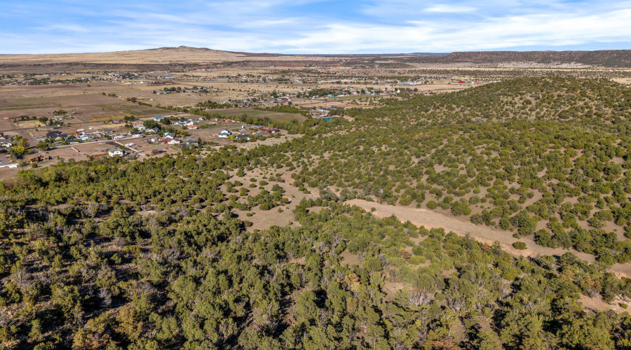 Parcel10423002GFEC-EagarAZ-7