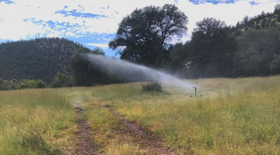 W Ctr Pasture Irrigated fr Creek