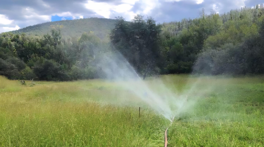 Irrigating W Ctr Pasture thru hose