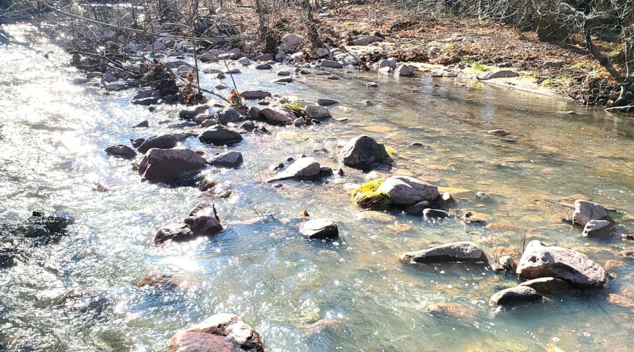 Gordon Crk in Winter