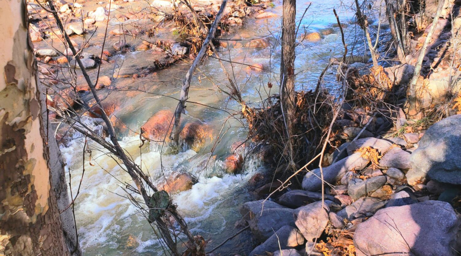Gordon Creek Flowing in Winter