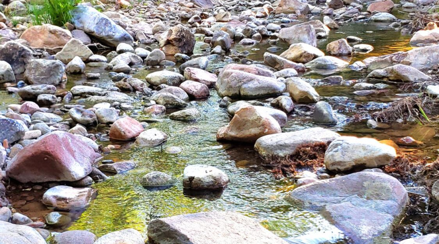 Gordon Creek looking Downstream