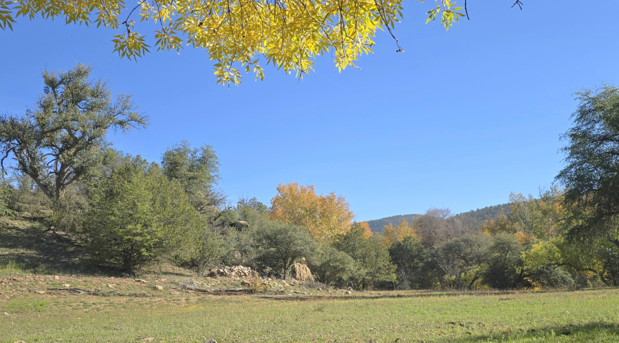 Aut W Ctr Pasture twd Aqueduct E end