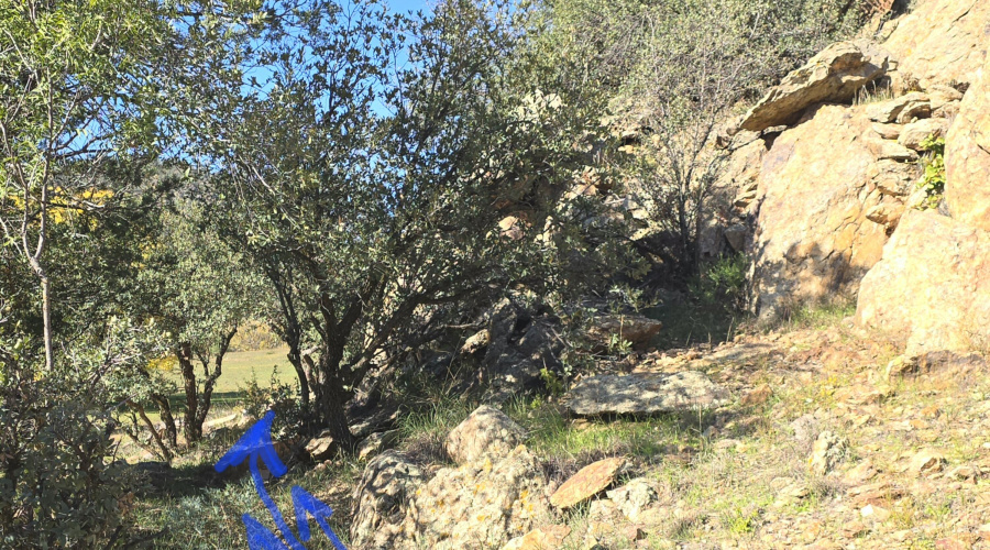 Aut Aqueduct in W Ctr Pasture