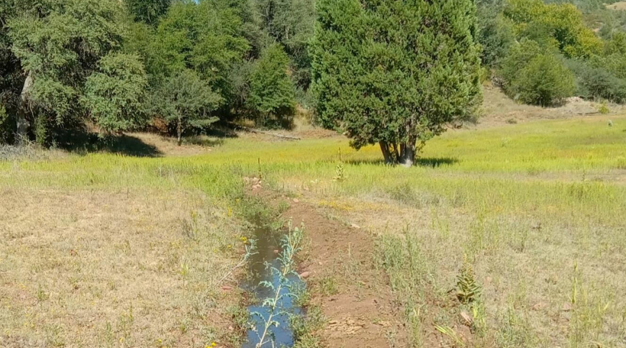 Irrigation Ditch w Water in it