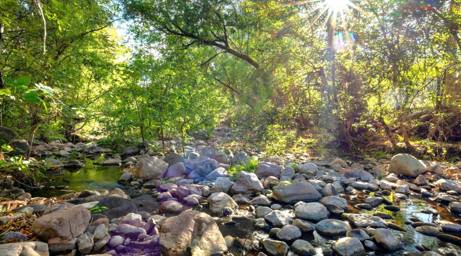 Gordon Crk Crossing looking S sunburst