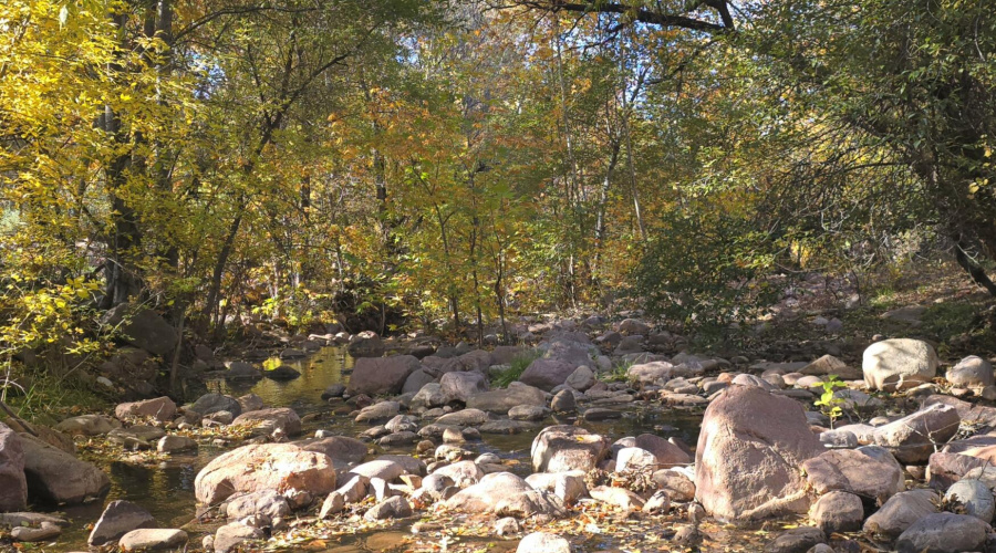 Aut Creek Downstream