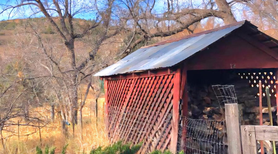 Firewood Storage Shed