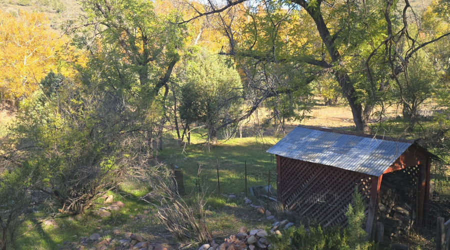 Aut Firewood Shed & Upstream along Gordo