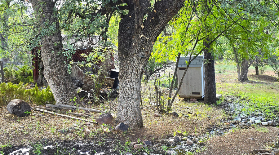 Artesian Well Water twd Creek
