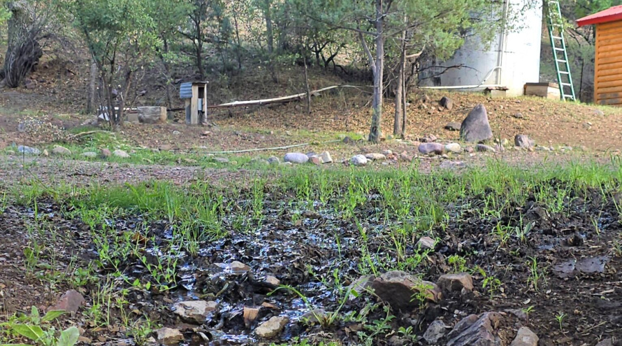 Artesian Well water across Driveway