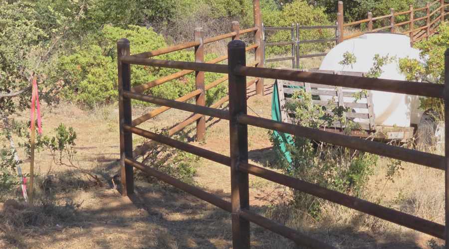 N Pipe Fence 2024 June