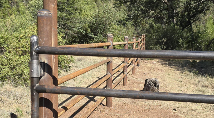 N Pipe Fence & Gate to E 2024 June