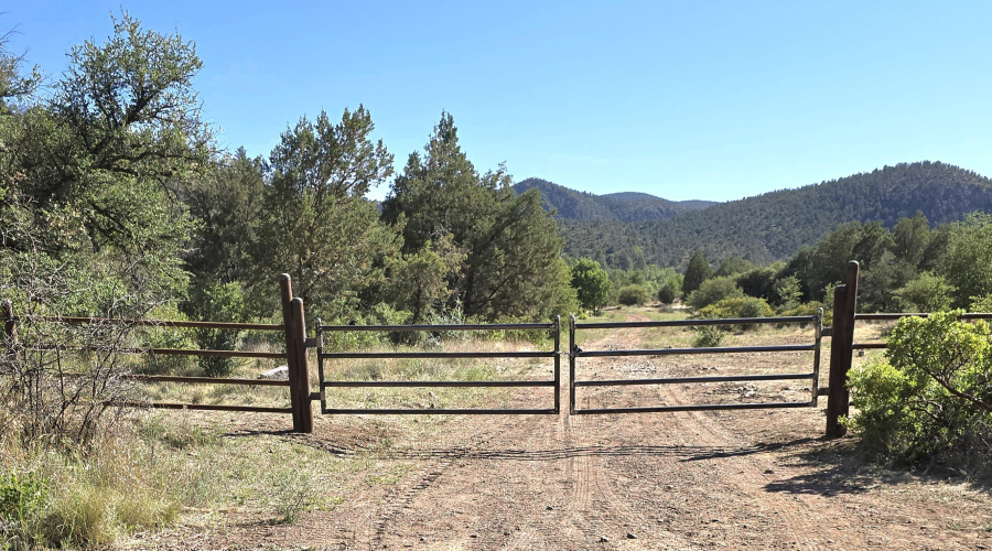 N Prop Line Entry Gate