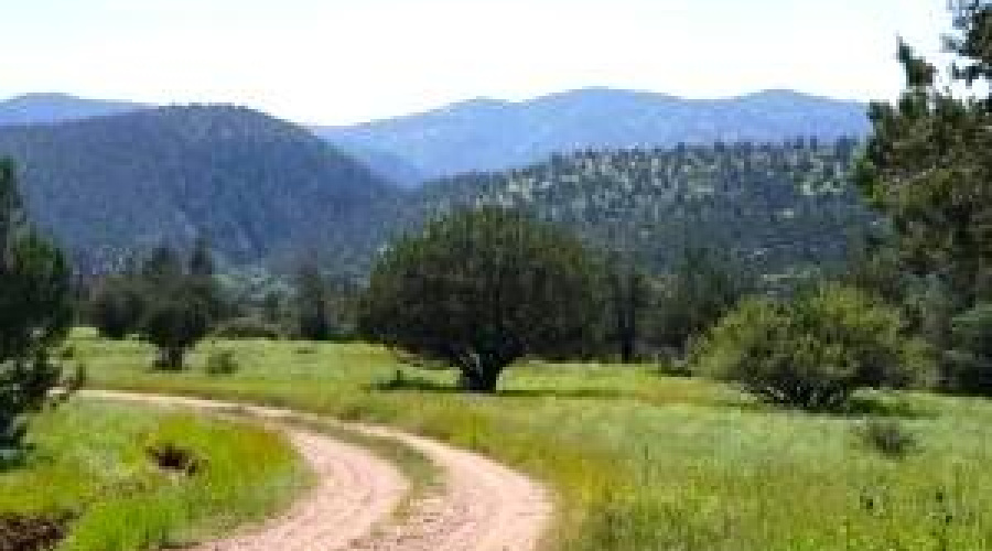 Driveway across Mesa