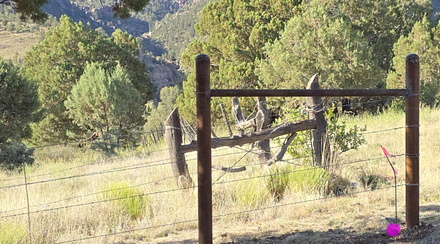 Wire Fence New N Boundary on Mesa