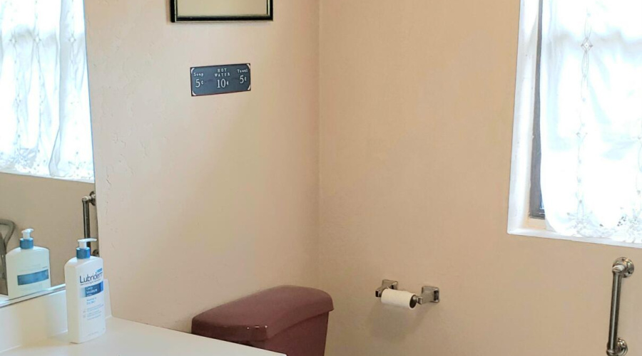 Bath Downstrs Toilet & Window