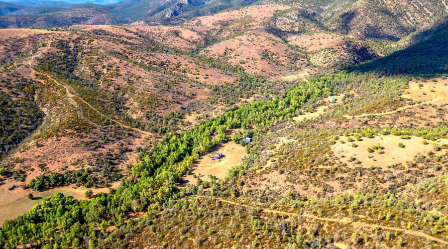 Gordon Crk Flows thru Ellnwd Hmstd