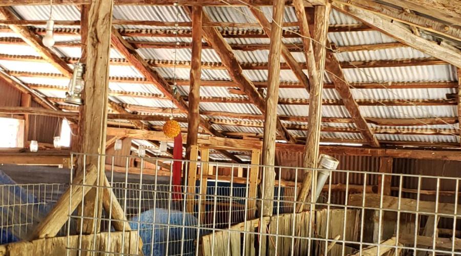 Barn Framing & Manger