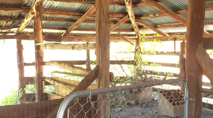 Barn Framing NW corner