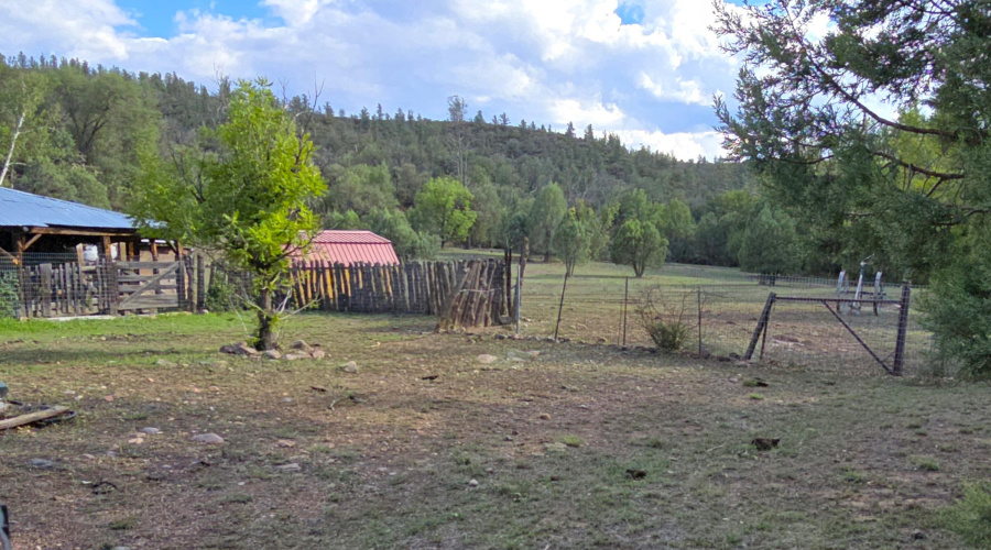 Barn Corral twd S End of E Pasture
