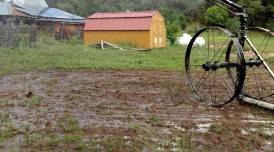 Irrigating E Pasture by Elec Pwr Shed