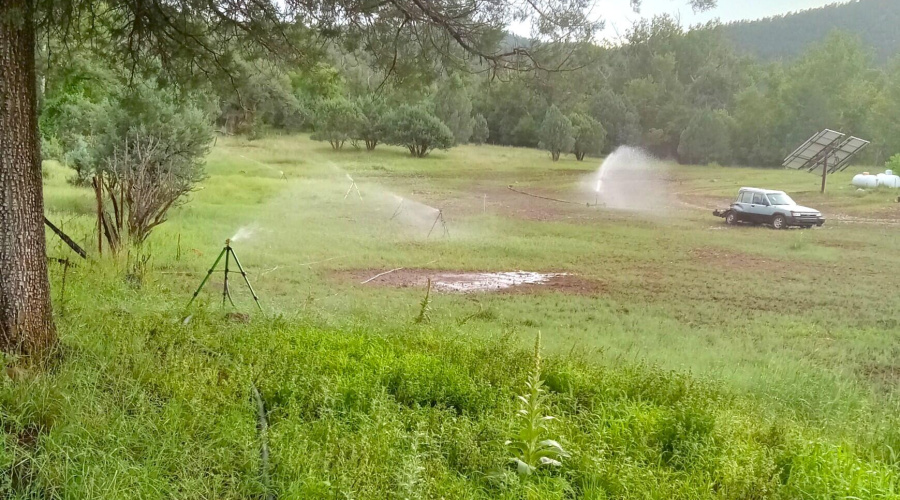 Irrigating E Pasture fr Trunk Line & Cre