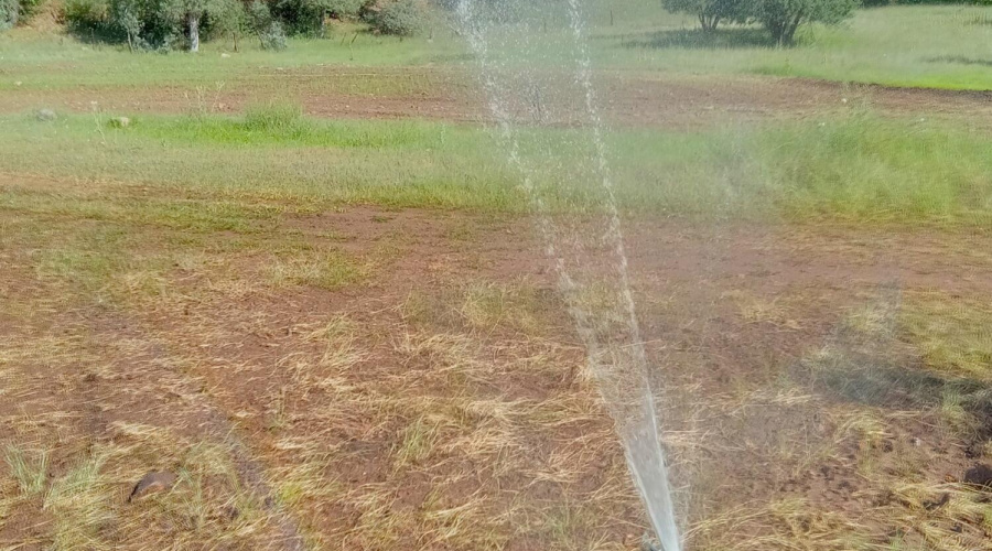 Irrigating E Pasture S end