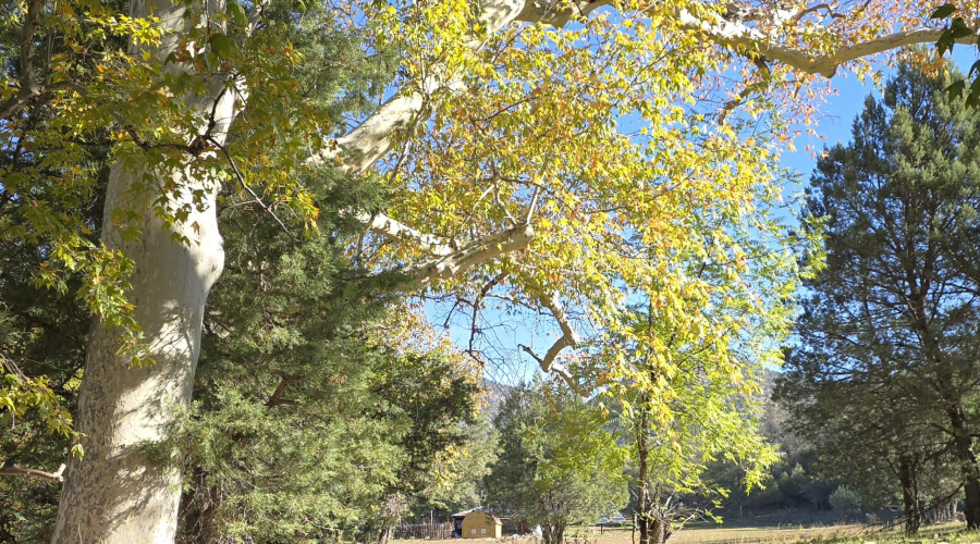 Aut Solar Power Shed fr Sycamore Grove